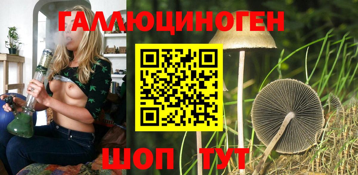 Псилоцибиновые грибы Psilocybe Керчь