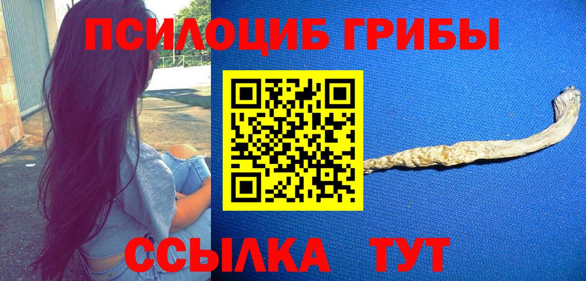 Псилоцибиновые грибы прущие грибы  Вход с VPN  Керчь 